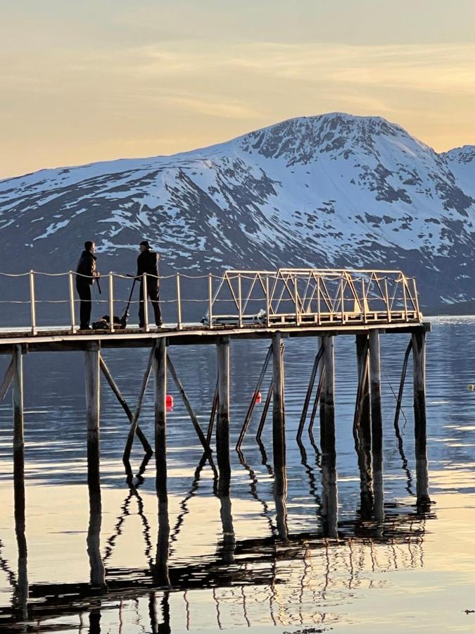 Skittenelv Lodge & Camping Tromsø Exteriér fotografie