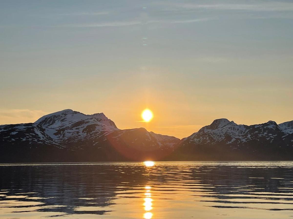 Skittenelv Lodge & Camping Tromsø Exteriér fotografie